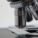 Ricerca oncologica